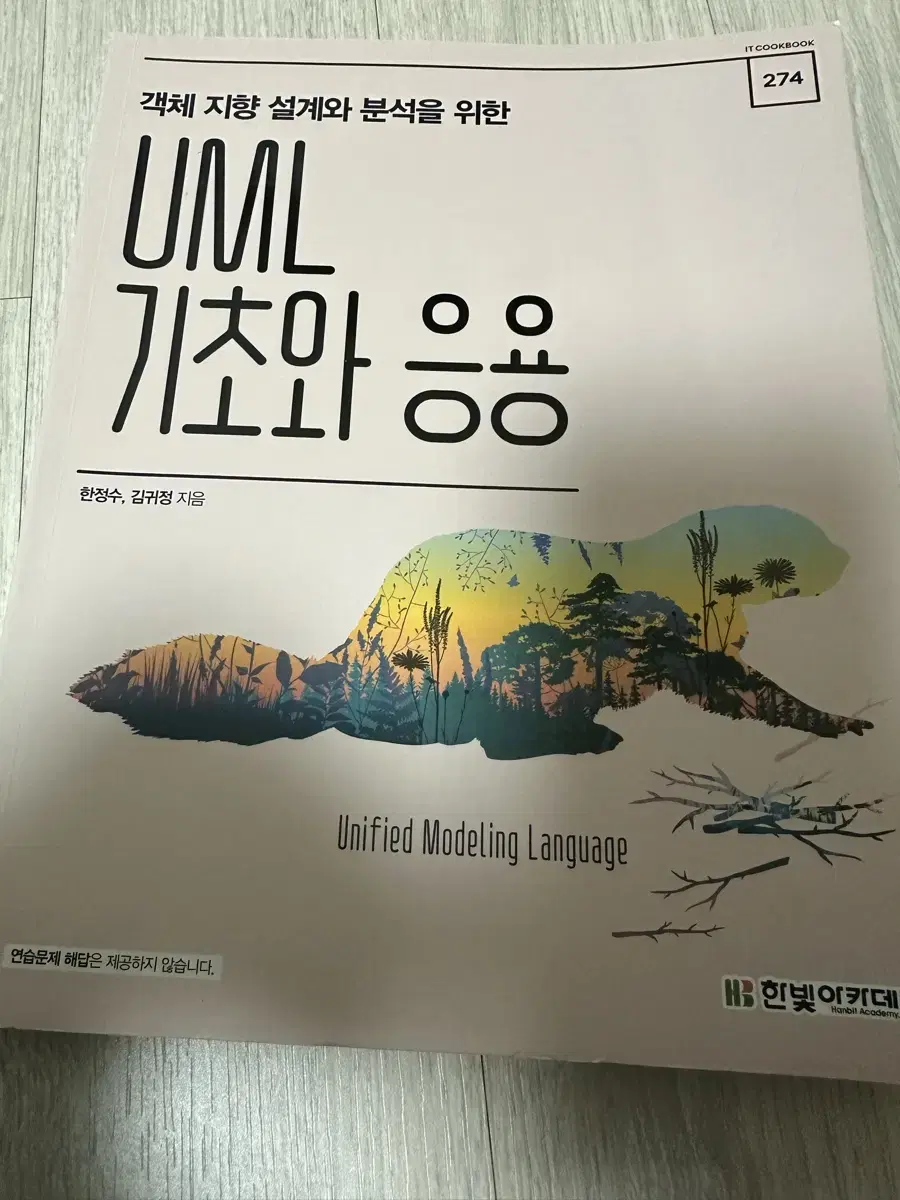 UML 기초와 응용 책